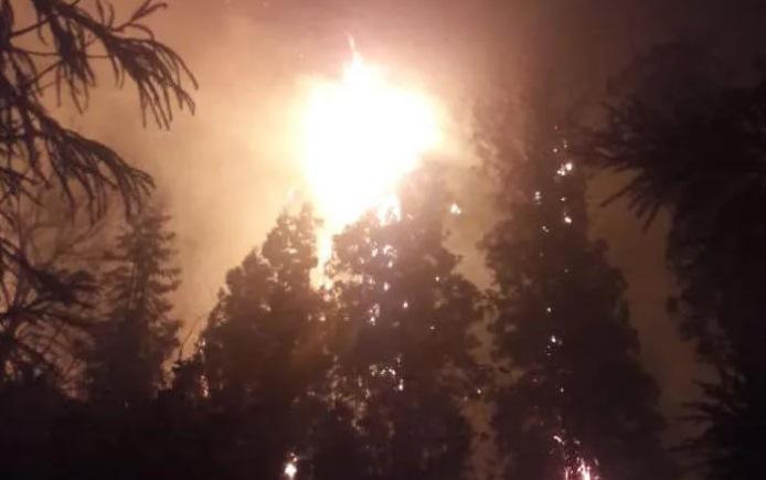 გურიაში, ოზურგეთის სოფელ ვაკიჯვარში ხანძარია