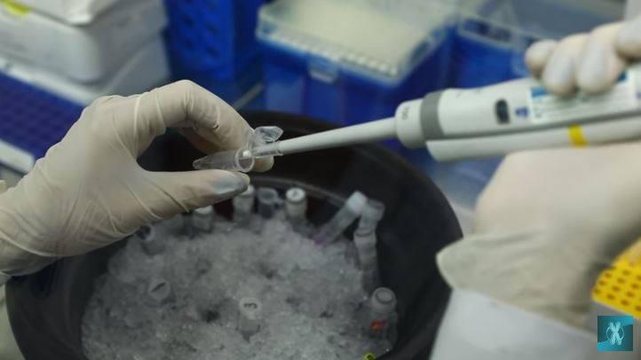 კორონავირუსზე ტესტის გაკეთება გენეტიკის ეროვნულ ინსტიტუტშიც შესაძლებელია