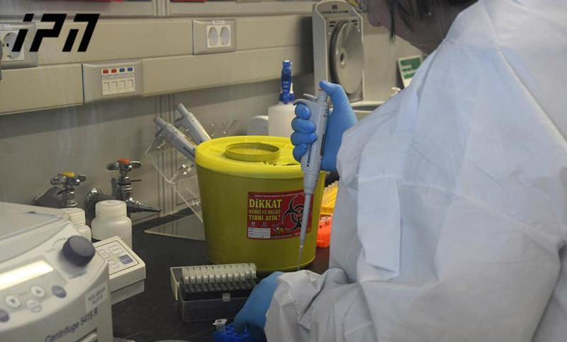 საქართველოში კორონავირუსით დაავადებულთა რაოდენობა 15-მდე გაიზარდა