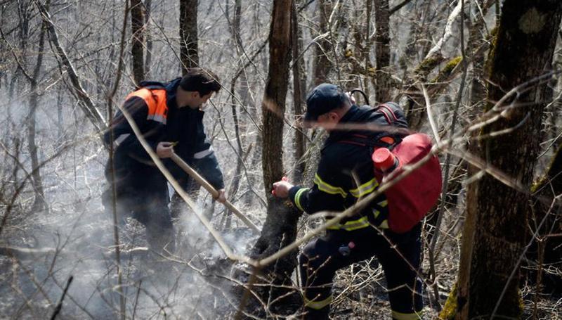 საქართველოს მასშტაბით ამ ეტაპზე ტყის ხანძრის 7 კერაა - საგანგებო სიტუაციების მართვის სამსახური