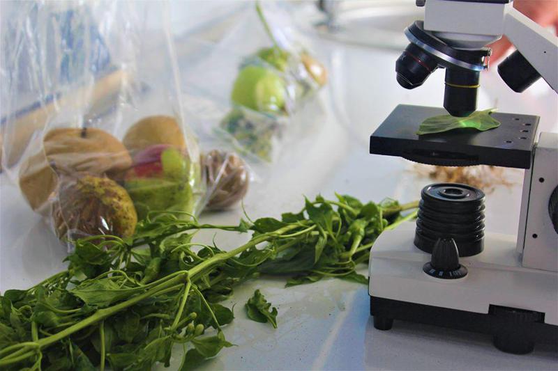 რა ტოქსიკური თვისებები აქვთ პროდუქტებს - სურსათის ექსპერტის რეკომენდაციები