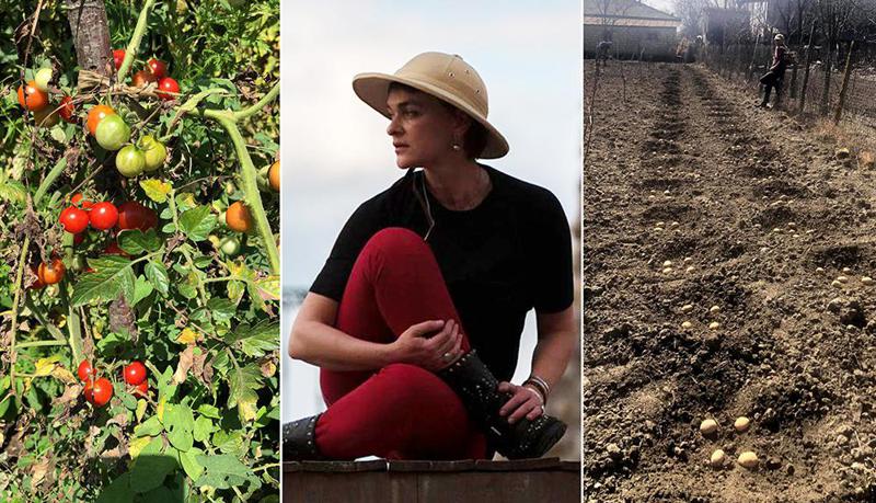 "ადამიანები მიწას უნდა დაუბრუნდნენ, ვინც თბილისშია და სოფელი მიტოვებული აქვს..." - ეკა ნიჟარაძეს პანდემიის დროს კახეთში მოსავალი მოჰყავს