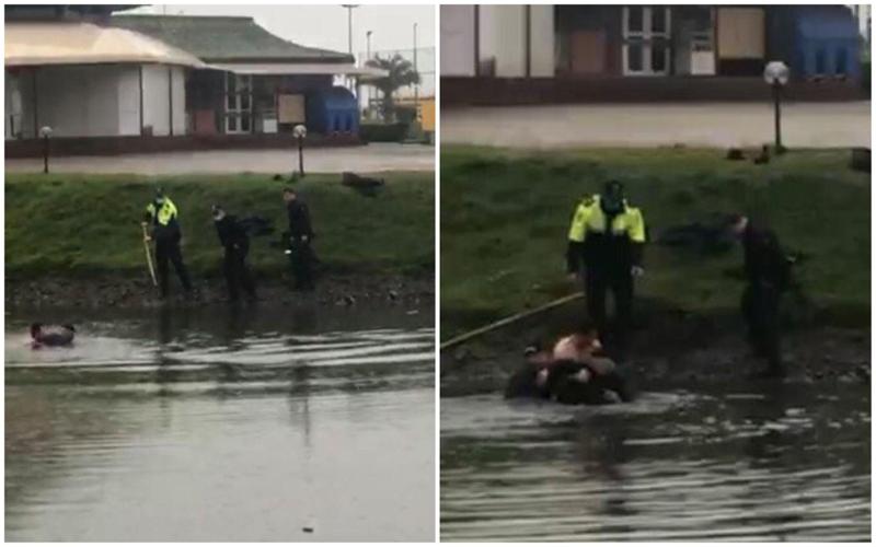 მოხუცი, რომელიც ტბაში იხრჩობოდა, პატრულმა გადაარჩინა - კადრები ბათუმიდან