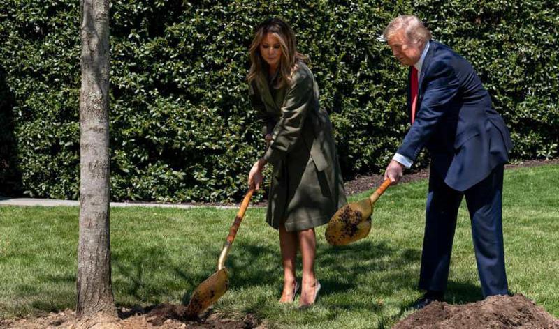 მელანია ტრამპი მაღალქუსლიანი ფეხსაცმლითა და ნიჩბით ხელში -  როგორ ფორმაში რგავს აშშ-ის პირველი ლედი ხეებს (ფოტოები)