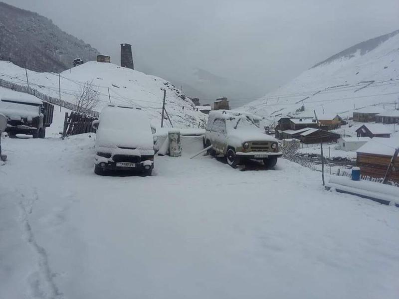"მაისის თოვლი ვარდების ნაცვლად..." - ფოტო სვანეთიდან