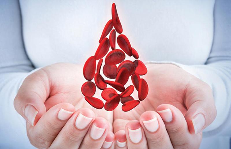 როგორი უნდა იყოს კვების რაციონი ანემიის დროს - სისხლნაკლებობის სამკურნალო ხალხური მეთოდები