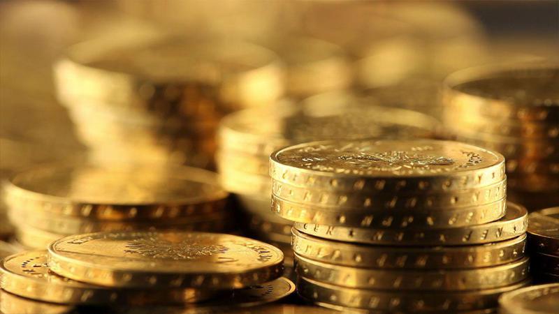 23 ნაბიჯი, ცხოვრების უკეთესობისკენ შესაცვლელად