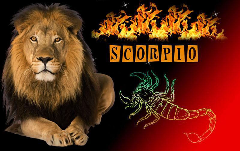 როგორ ეწყობა მორიელი ცეცხლის სტიქიის წარმომადგენლებს, ანუ ვერძს, ლომს და მშვილდოსანს