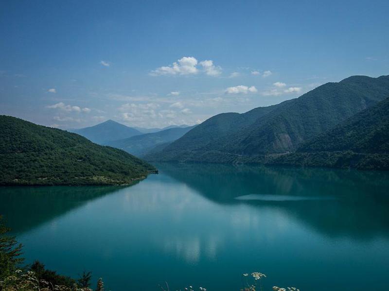 განახლებადი ენერგიის რომელი წყაროსკენ იხრებიან ექსპერტები?