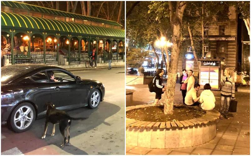 "მძღოლები ისე აბღუვლებდნენ მანქანებს... ერთგან გოგო-ბიჭები მზესუმზირას ჭამდნენ" - გოგა ჩანადირის ფოტოები წუხანდელი თბილისიდან