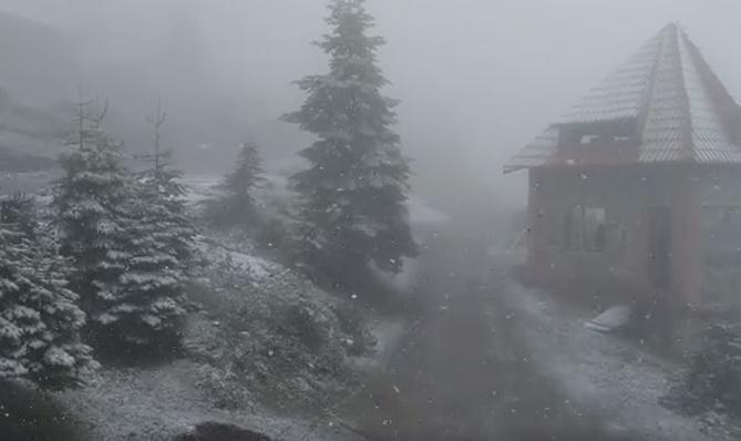 გომისმთაზე თოვლი მოვიდა - კადრები ადგილიდან