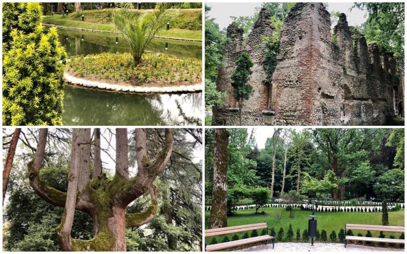 როგორ გამოიყურება ზუგდიდის ბოტანიკური ბაღი, რომლის რეკონსტრუქცია 12 მილიონი დაჯდა