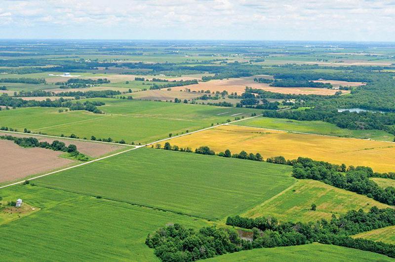 "მიწის ნაკვეთებზე მოთხოვნა გაიზარდა" - რა ღირს მიწა თბილისსა და მის შემოგარენში