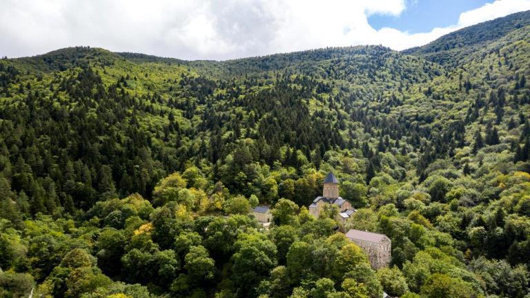 "ღამით ათობით მანქანა ეზიდება ხეებს" - ძამას ხეობაში, ყინწვისის მონასტერთან ახლოს, ტყეს ჩეხავენ