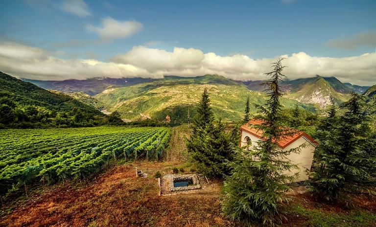 "მეღვინეობა ხარებას" ღვინის სამყარო თერჯოლაში - 8 000-წლიანი ტრადიციული მეღვინეობისა და 21-ე საუკუნის შეხვედრის ადგილი
