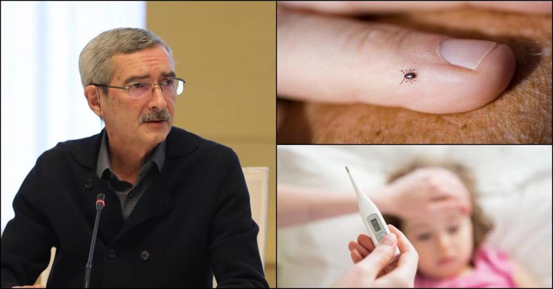 ტკიპის სეზონი დაიწყო - როგორ ავარიდოთ ბავშვებს ყირიმ-კონგოს ცხელება