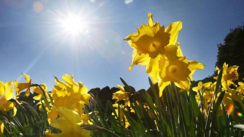 საქართველოში ტემპერატურა 37 გრადუსამდე მოიმატებს - როგორია უახლოესი დღეების პროგნოზი