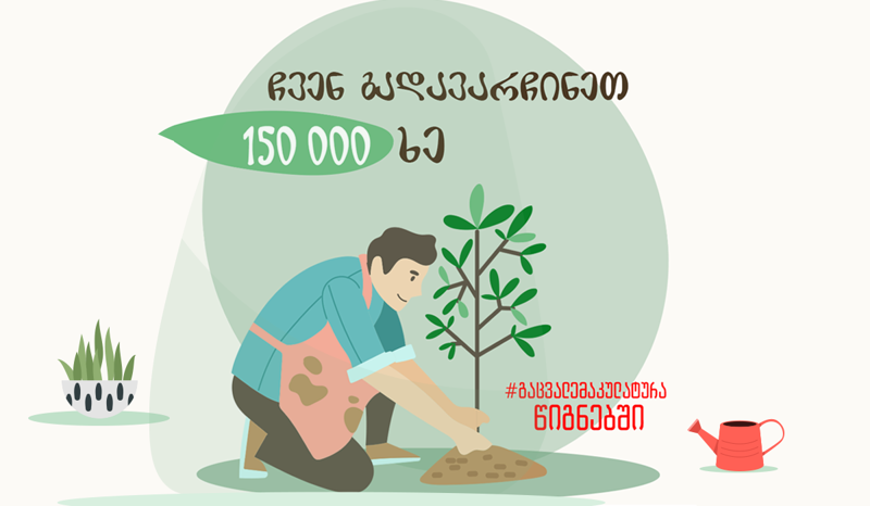 300 წელიწადში, შესაძლოა, ტყეები განადგურდეს - რა არის გამოსავალი?