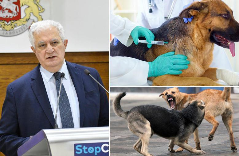 "ცუდი ნიშანია, რომ ქალაქში, ცოფი გამოჩნდა... ქუჩაში ე.წ. მაწანწალა ძაღლები არ უნდა დადიოდნენ" - ამირან გამყრელიძის რეკომენდაციები