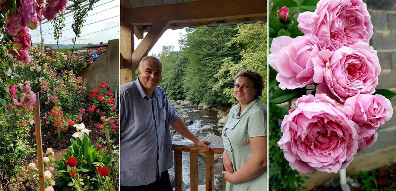 დევნილი წყვილის ევროპული წალკოტი წეროვანში - "თითო ვარდს წლობით ველოდით... საკოლექციო ვარდებზე დიდი რიგია"