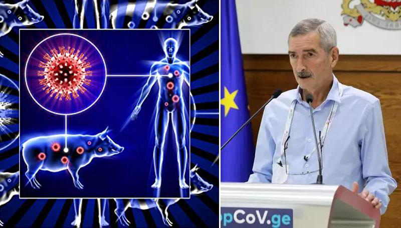 "მას ადამიანიდან ადამიანზე გადასვლის უნარი არ აქვს" - რას ამბობს პატა იმნაძე ჩინეთში აღმოჩენილ ახალ ვირუსზე