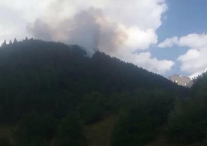 მესტიაში, სოფელ იდლიანთან მთის ფერდობზე ხანძარია