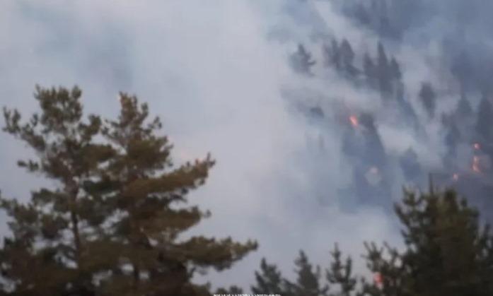 მესტიაში, სოფელ იდლიანთან, მთის ფერდობზე გაჩენილი ხანძრის ლოკალიზება ამ დრომდე ვერ ხერხდება