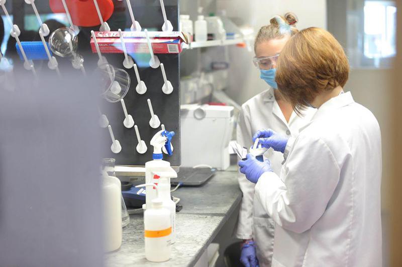 ქობულეთის სოფელ წყავროკასა და ცხრაფონაში ცხოველებში ცოფის ახალი შემთხვევები დადასტურდა