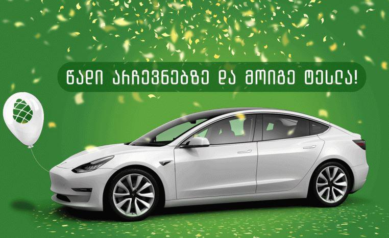 "გირჩი" არჩევნებში მონაწილე ამომრჩევლისთვის "Tesla"-ს ავტომობილებს გაათამაშებს