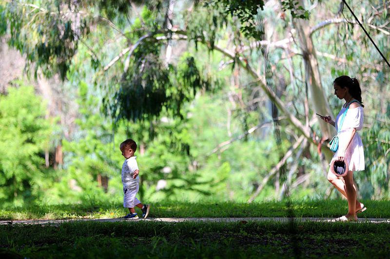 ეგზოტიკური ცხოველები და გიგანტური ხეები - ფოტოები დენდროლოგიური პარკიდან, რომელიც დღეს ოფიციალურად გაიხსნა