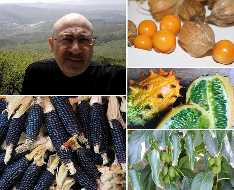 შავი სიმინდი, ოქროსფერი კენკრა, აფრიკული კიტრი... - გაიცანით კაცი, რომელსაც მრავალი წელია ლაგოდეხში ეგზოტიკური პროდუქტები მოჰყავს