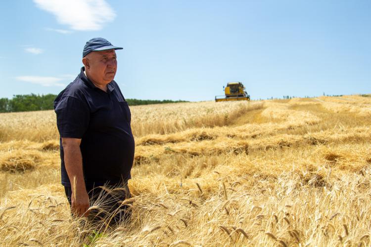 კახელი ფერმერი ნიადაგის მინიმალური დამუშავებით ხორბლის წარმოებას აუმჯობესებს
