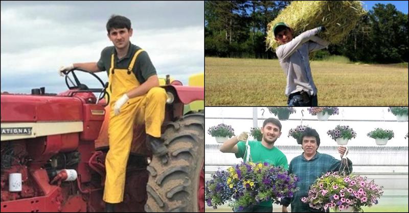 ამერიკული საოჯახო ფერმიდან მშობლიურ მეურნეობაში - როგორ აისრულა ყვარლელმა ახალგაზრდამ ბავშვობის ოცნება