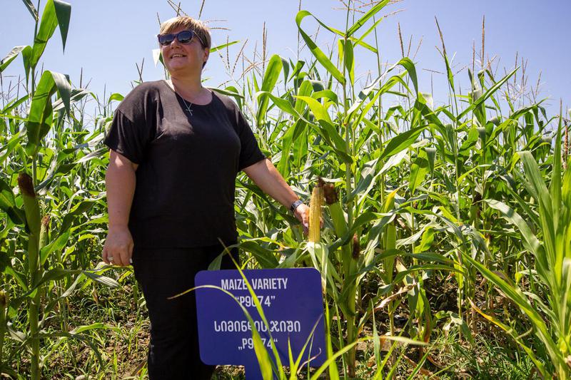ქართველი ფერმერი ქალი ლაგოდეხში სოფლის მეურნეობის თანამედროვე მეთოდებს ნერგავს და წარმოებას ზრდის