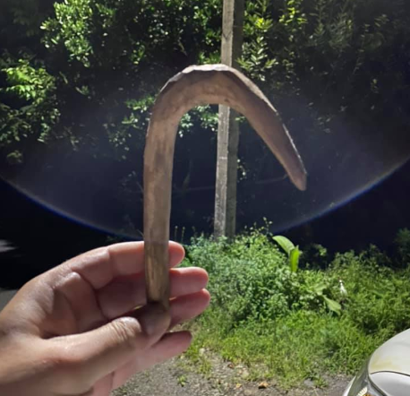 "ტყეში მშიერმა ხიდან გამოთლილი კაუჭებით მანიშნებლები აკეთა" - აჭარაში 85 წლის მოხუცი 5 დღიანი ძებნის შემდეგ სახლში უვნებელი დააბრუნეს