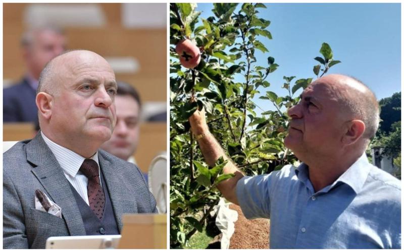 "ფოტოები გახმაურებისთვის არ დამიდია, უბრალოდ მენიშნა..." - რას ამბობს "ოცნების" დეპუტატი, რომელიც "ფეისბუქზე" პოსტის გამო გააშარჟეს