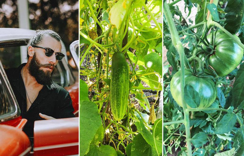 "კიტრისა და პომიდვრის მთელი არმია მაქვს, მინდა, ყანაც მქონდეს და ვენახი ჩავყარო" - "ჩემმა მზემ" არაშენდაში ბაღ-ბოსტანი გააშენა