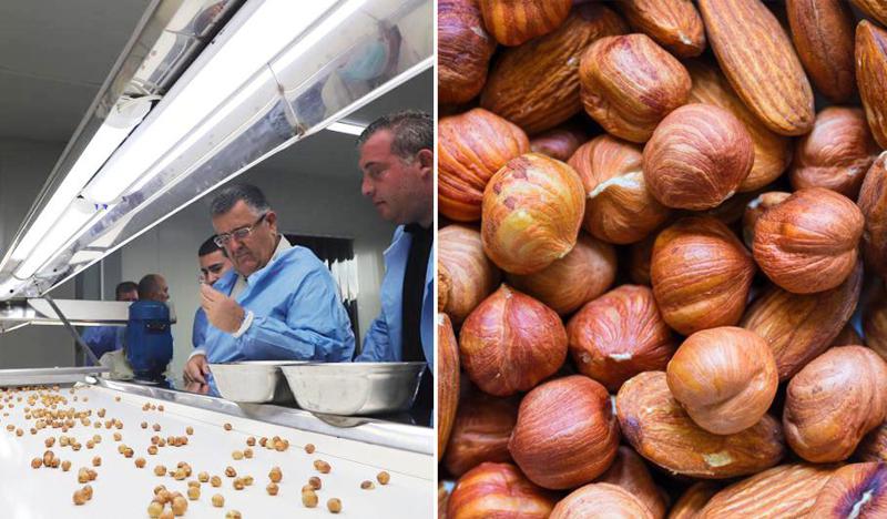 მეთხილე ფერმერები წელს რეკორდულ მოსავალს ელოდებიან - რა ფასში იბარებენ წელს თხილს?