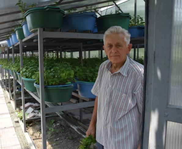 "მეძუძურს რძე რომ გაუშრეს და პატარას ბატატი აჭამოს, ჯანმრთელი გაიზრდება" - 82 წლის ფერმერი, რომელმაც ტროპიკული კულტურა ინტერნეტით აღმოაჩინა