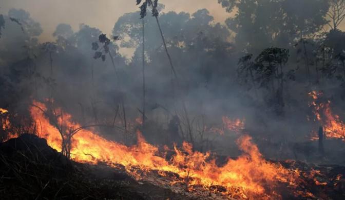 ამაზონის ჯუნგლებში ლონდონზე 10-ჯერ დიდი ტერიტორია იწვის - რას წერს BBC