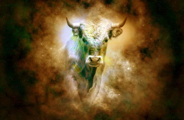 როგორი იქნება 2021 წლის პირველი თვე კუროებისთვის - იანვრის ასტროლოგიური პროგნოზი