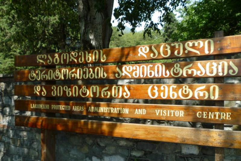 ლაგოდეხის ნაკრძალში ადგილობრივმა 30 წლის მამაკაცმა ლატვიელი ტურისტი გააუპატიურა