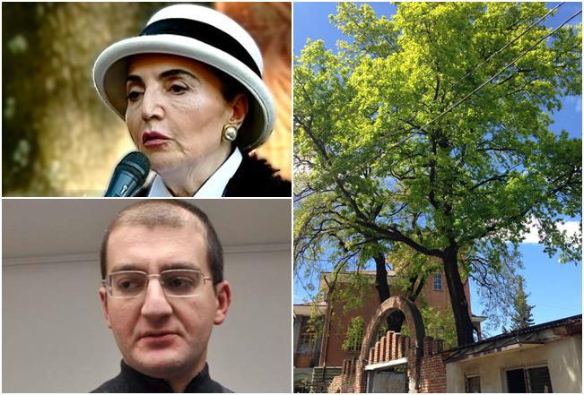 "მანანა არჩვაძემ მუშებს ვაზი გააკაფინა და მერე ცეცხლი წაუკიდა" - ვინ გაკაფა კოლხური კოშკის ეზოში ცოტნე გამსახურდიას მიერ ჩაყრილი ვაზი?