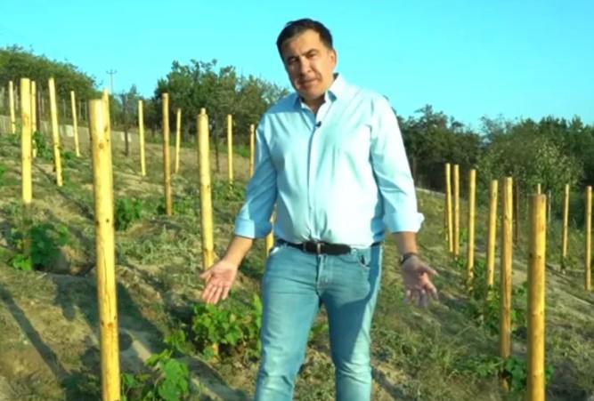 სააკაშვილმა კიევის ვენახიდან კახელებს მიმართა - "მოგმართავთ, როგორც მთავრობის შემდეგი ხელმძღვანელი, შეინახეთ სერთიფიკატები..."