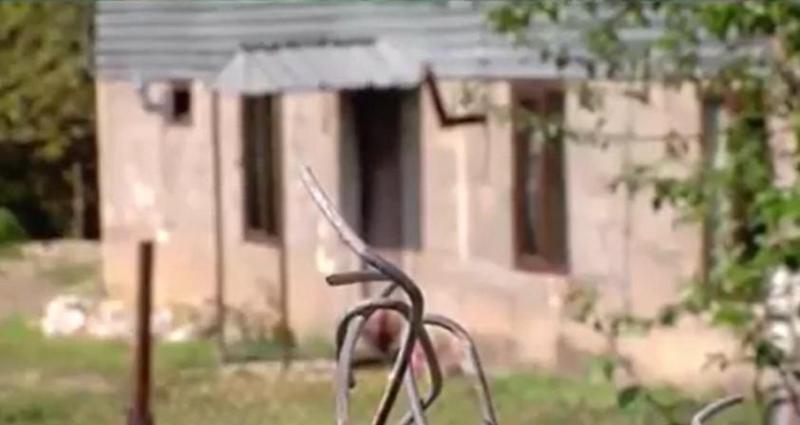 "14 წლის ბიჭი 9 წლის ბავშვზე სექსუალურად ძალადობდა, აშინებდა თურმე, - ვინმეს თუ ეტყვი, მოგკლავო"  - შემზარავი დანაშაული კახეთში