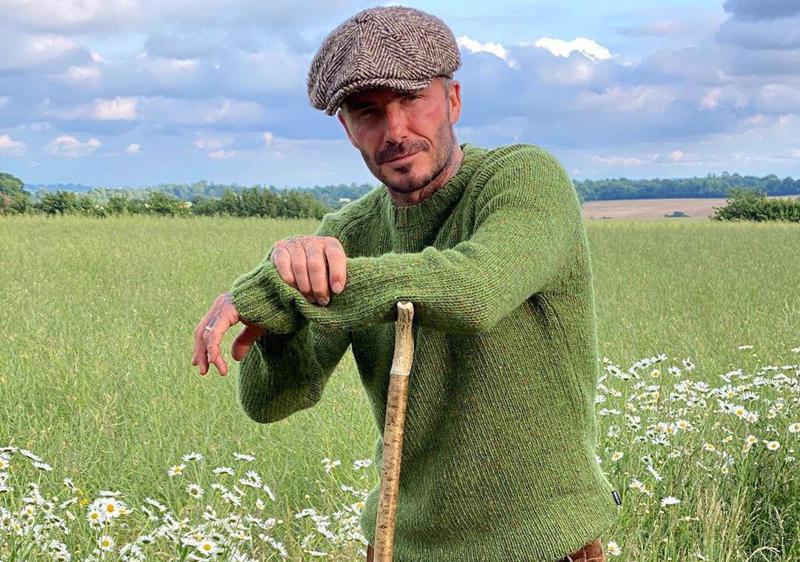 ფეხბურთელობიდან მეფუტკრეობამდე - დევიდ ბეკჰემი ნატურალური თაფლის გაყიდვას იწყებს