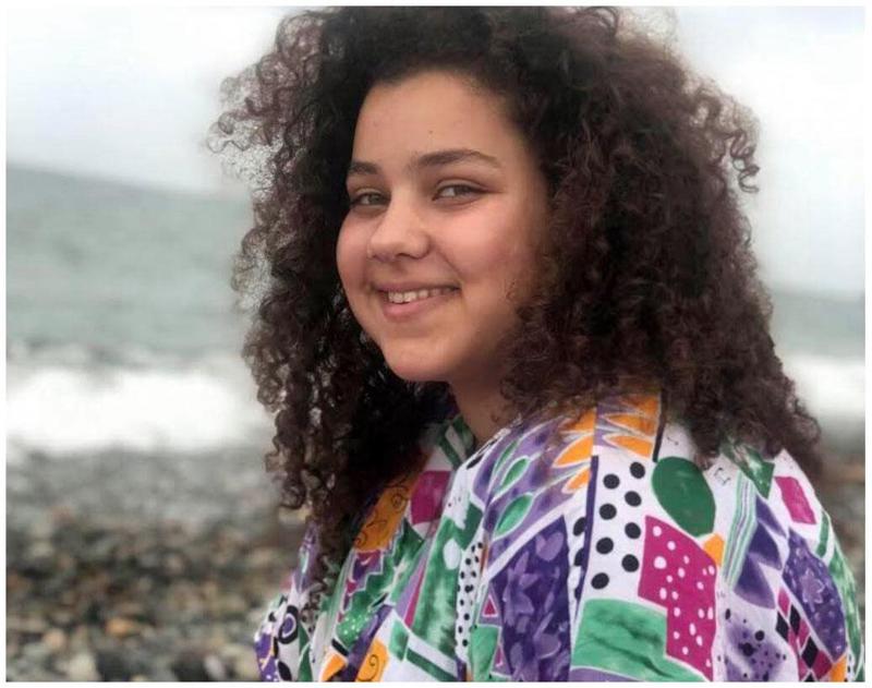 რუსთავში მომხდარი ავარიის ფაქტზე, რომელსაც 16 წლის ელენე ბაშარული ემსხვერპლა, მძღოლი დააკავეს