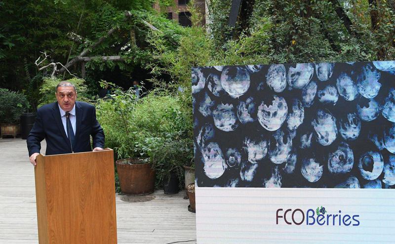 "საპარტნიორო ფონდის" მიერ ლურჯი მოცვის პლანტაციების გაშენებამ ხელი შეუწყო ქართველი ფერმერების გააქტიურებას ამ მიმართულებით