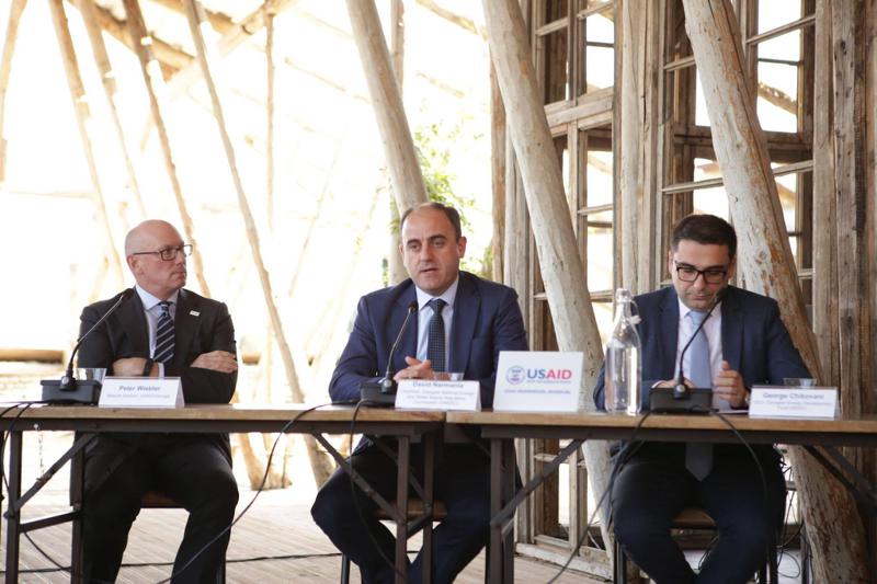 დავით ნარმანია USAID-ის ენერგეტიკული პროგრამის კონფერენციაზე სიტყვით გამოვიდა