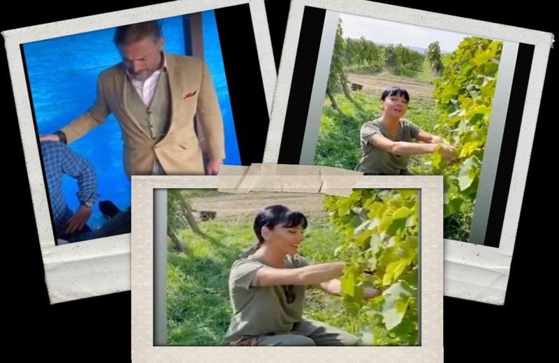 მაკა ასათიანი ლევან ვასაძეს რთველში ეწვია - კადრები ვენახიდან და ამღერებული მილიონერი ბიზნესმენი